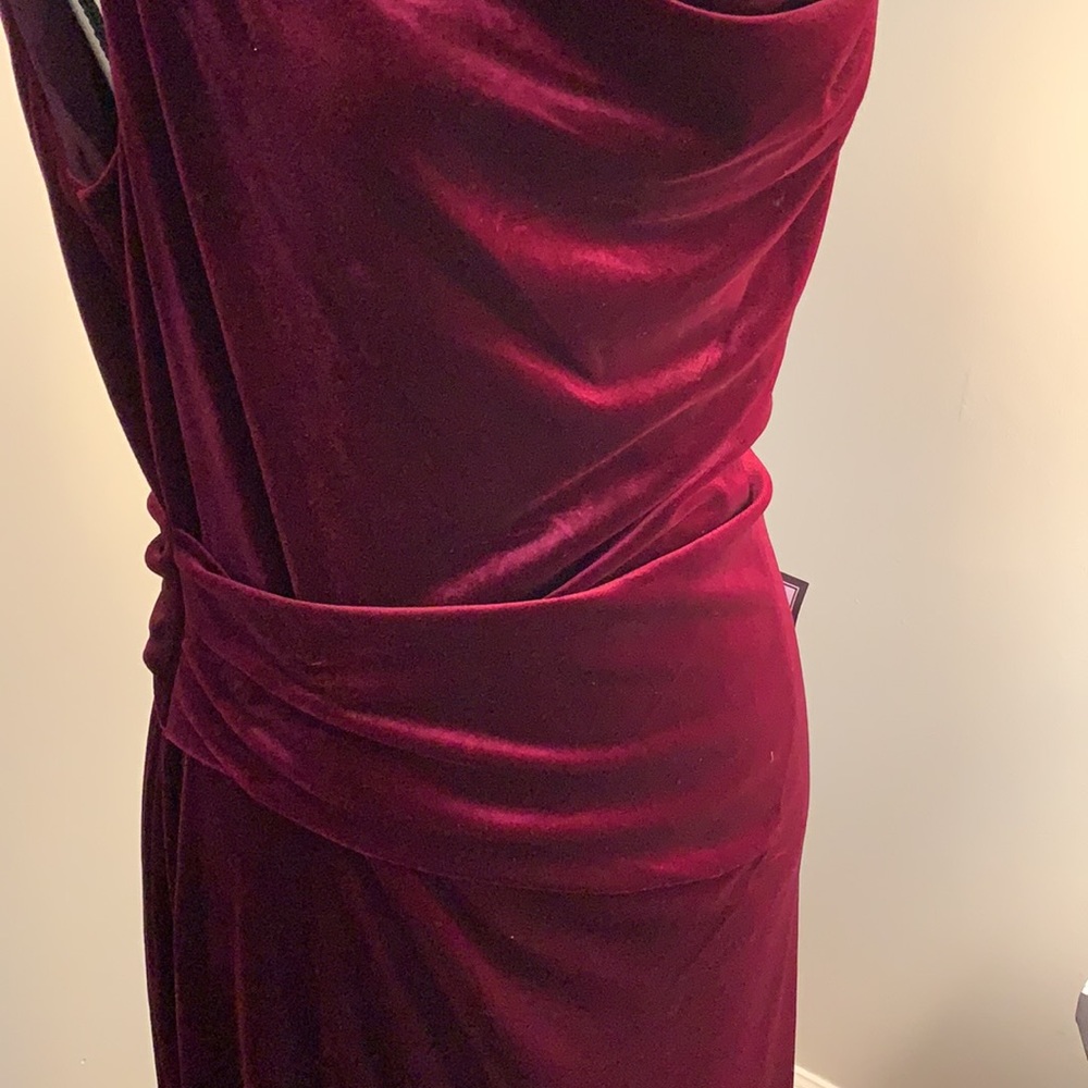 Gown -Velvet -gorgeous color - Picture 7 of 8